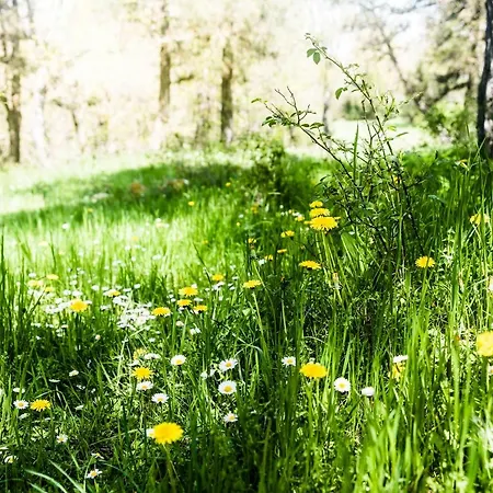 Casa rural Molino Del Feo Las Casas Altas