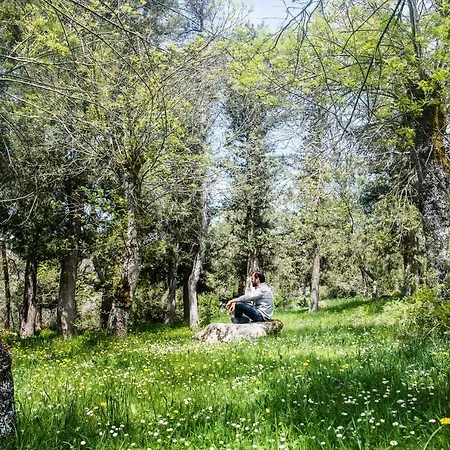 Country house Molino Del Feo