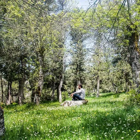 Casa rural Molino Del Feo