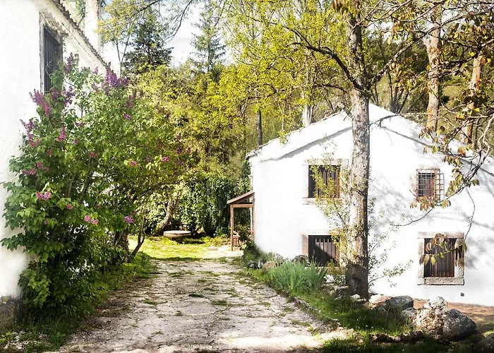 Molino Del Feo * Лас-Касас-Альтас