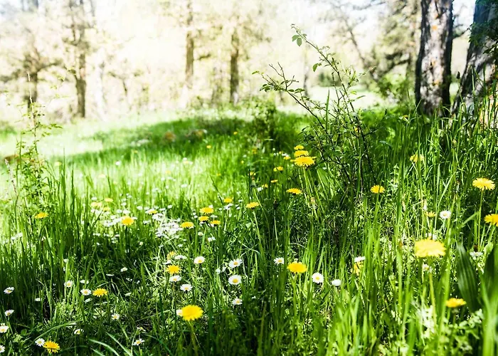 Летний дом Molino Del Feo Лас-Касас-Альтас