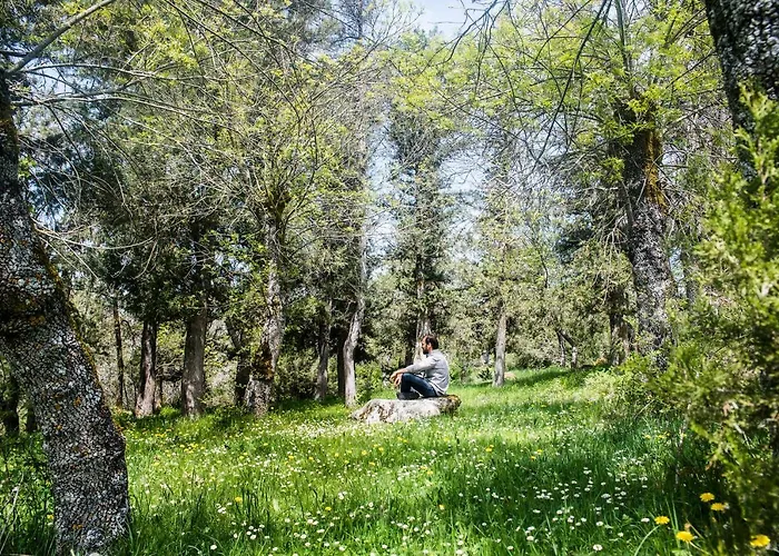 Летний дом Molino Del Feo